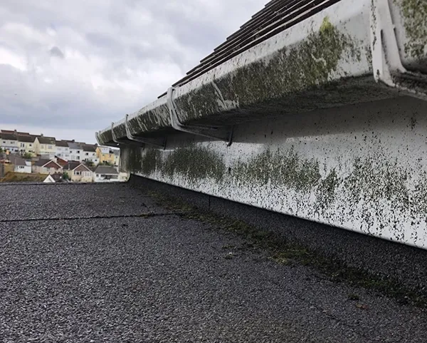 Gutter before cleaning